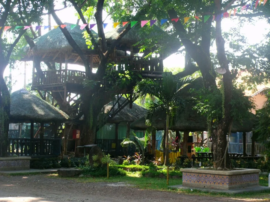Tree-lined garden walkway